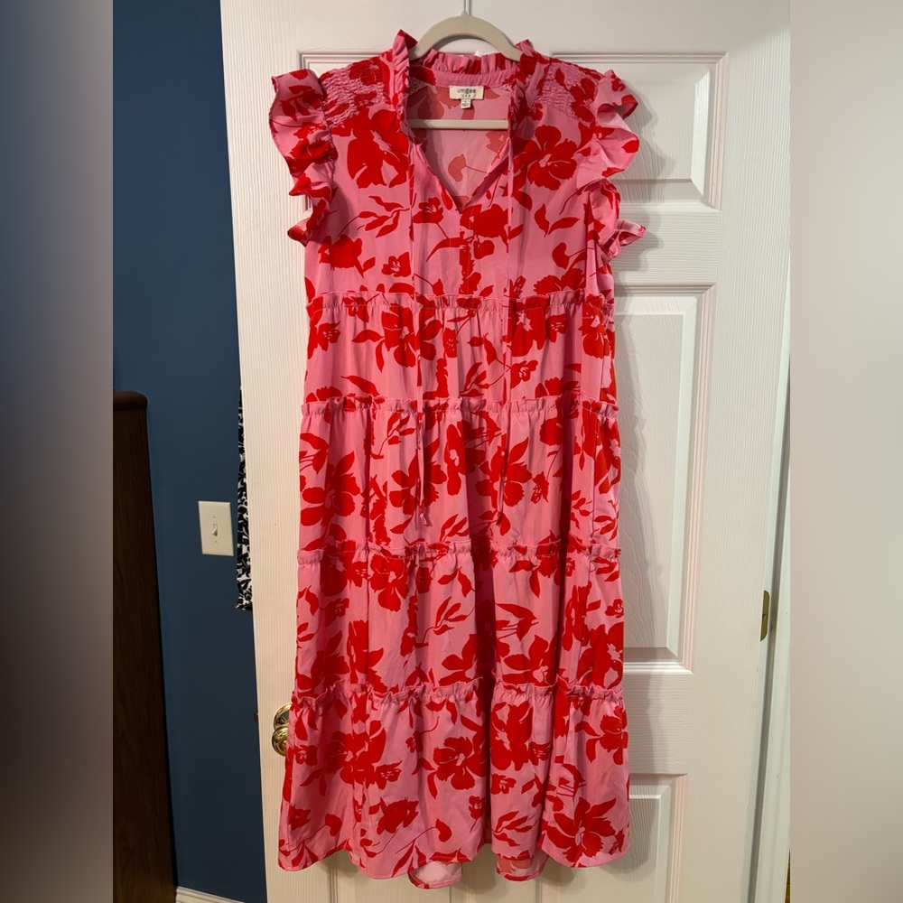 Umgee Floral Pink and Red Dress